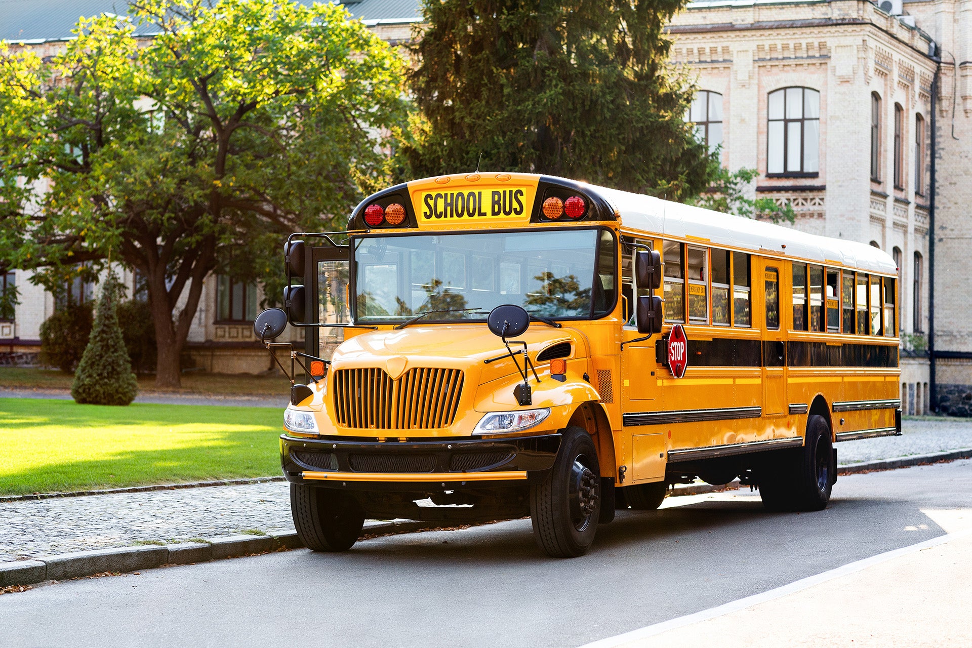 Rear view of a yellow bus with its front half crashed into the dense green foliage of a large bush.