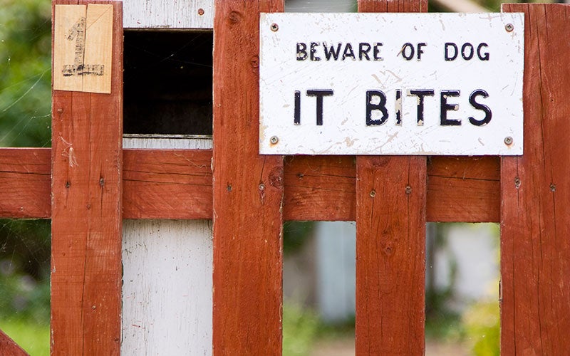 A weathered BEWARE OF DOG IT BITES sign is nailed to a rustic wooden fence.